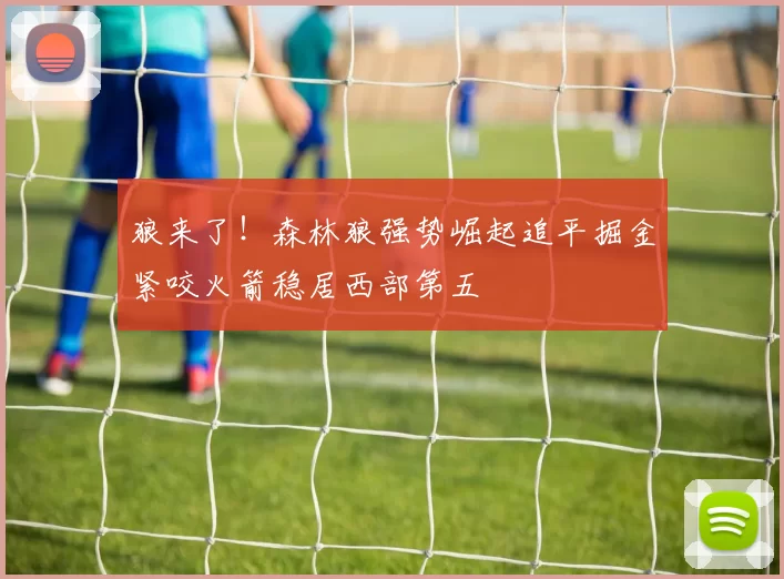 狼来了！森林狼强势崛起追平掘金紧咬火箭稳居西部第五